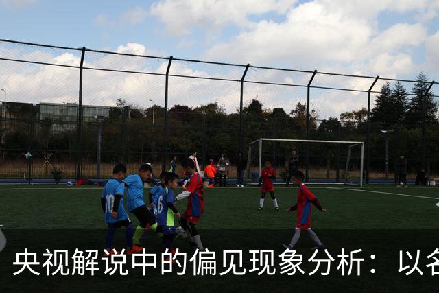 央视解说中的偏见现象分析：以名古屋亚运会乒乓球混双决赛为例