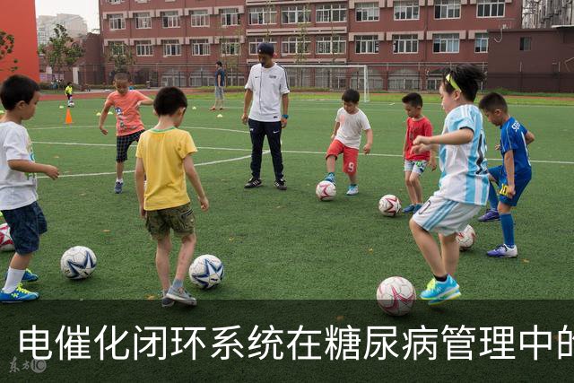 电催化闭环系统在糖尿病管理中的应用研究